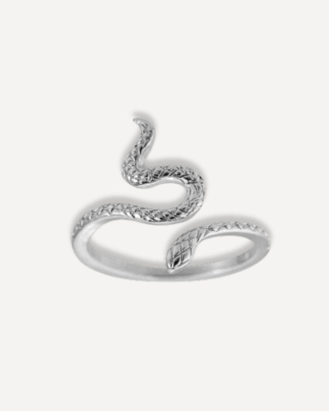 Ring Snake