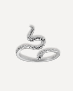 Ring Snake